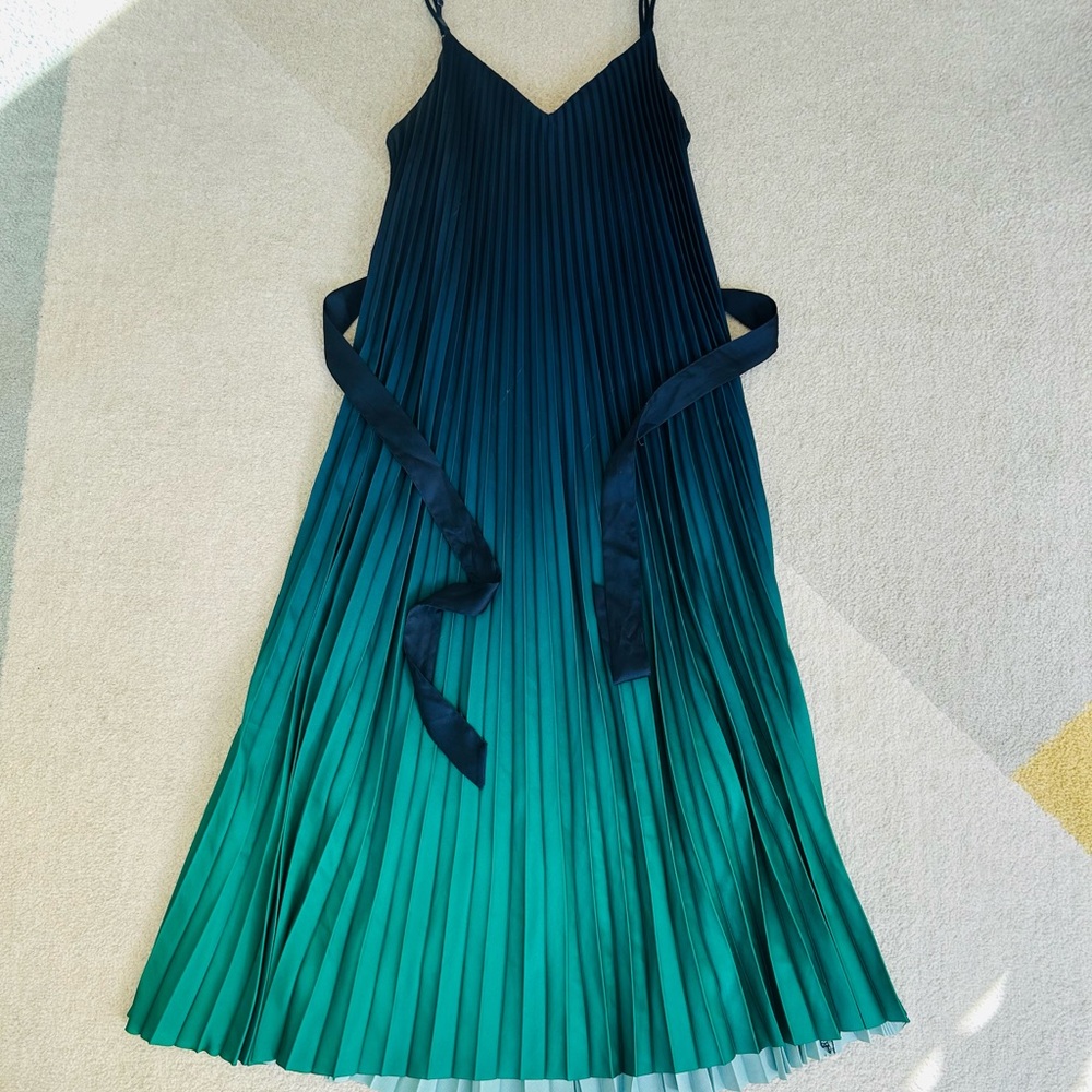Banana Republic Green and Navy Spaghetti StrapPleated Dress